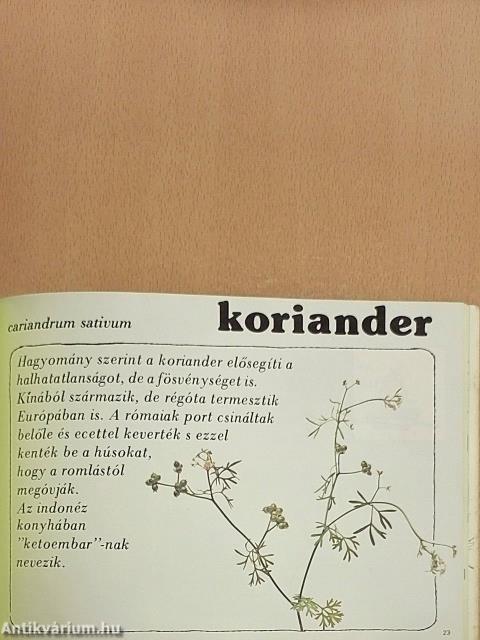 Kerti fűszernövények