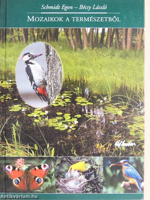 Mozaikok a természetből