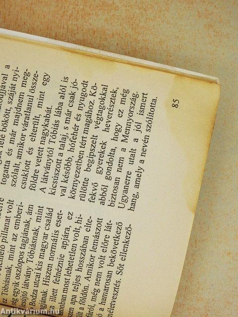 Vicces Tapsi 2003/1.