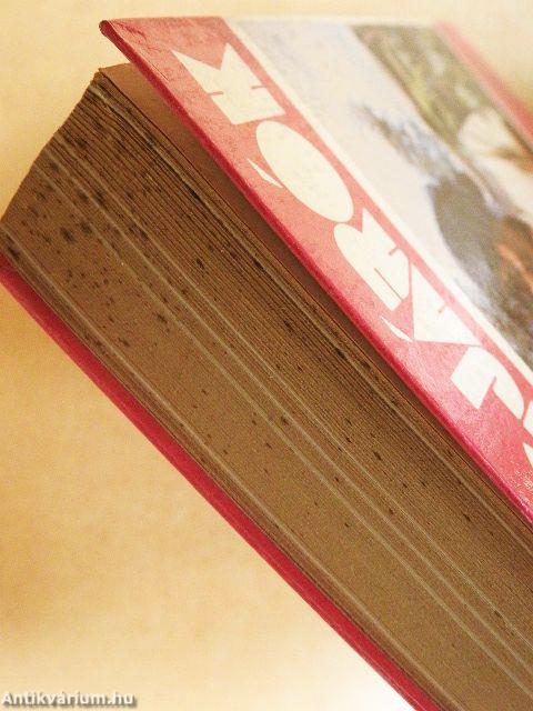 Tanuld meg újra Kínát!