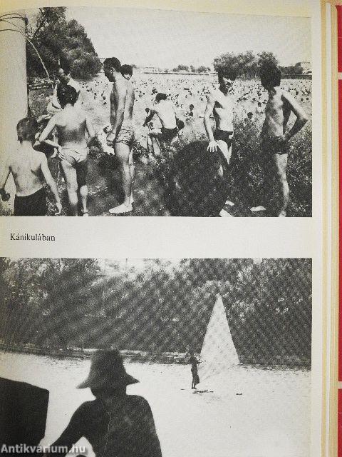 Tanuld meg újra Kínát!