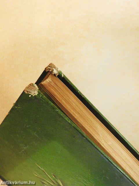 Vadgazdálkodás és vadászat