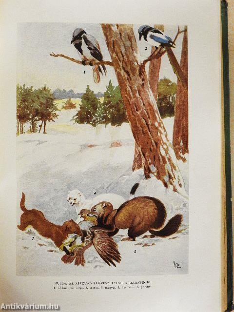 Vadgazdálkodás és vadászat