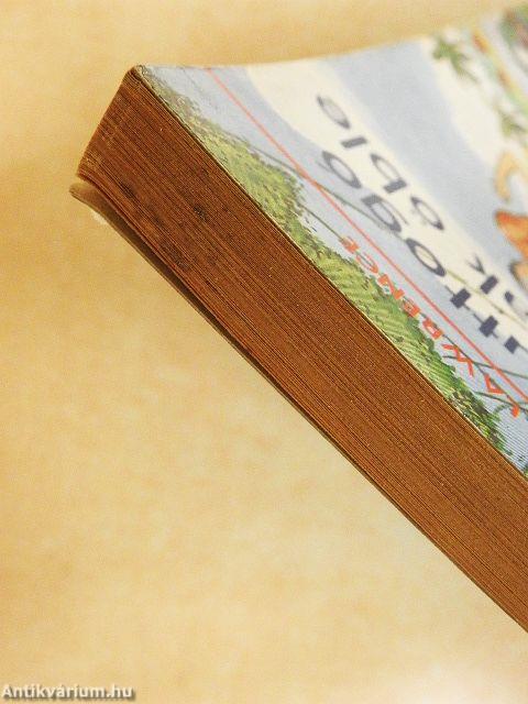 A Suttogó árnyak öble