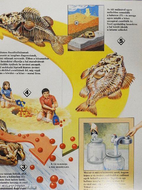 Élő Világ 1995/2.