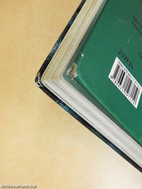 Ronja, a rabló lánya