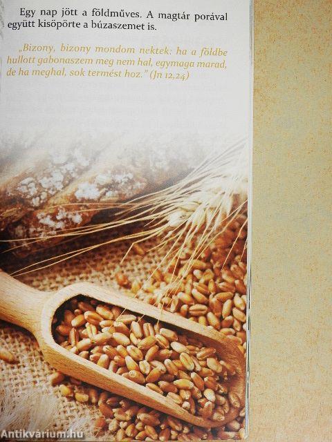 Mindig lesz egy új nap