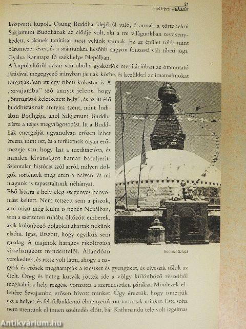 Belépés a Gyémánt Útra