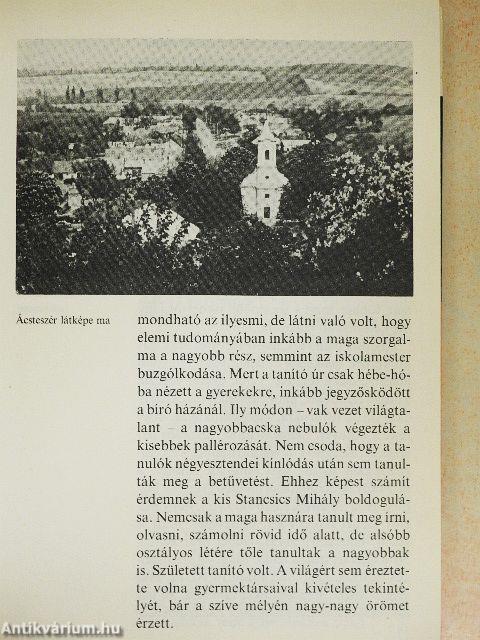 Így élt Táncsics Mihály