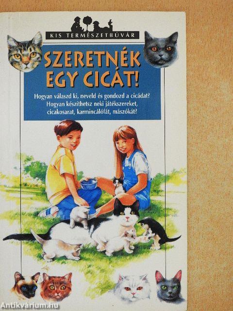 Szeretnék egy cicát!