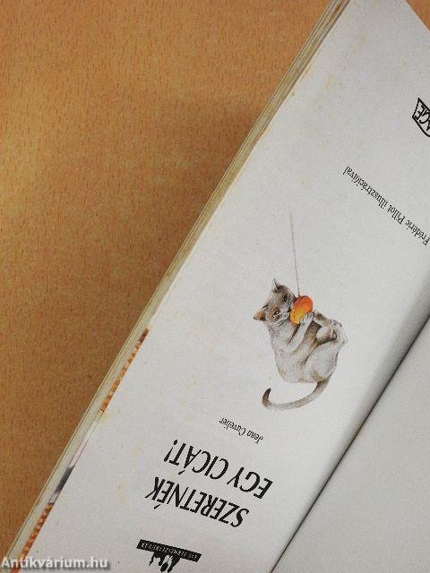 Szeretnék egy cicát!