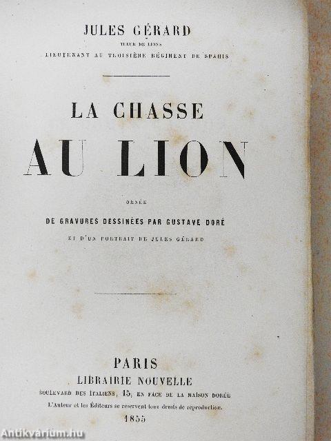 La chasse au Lion