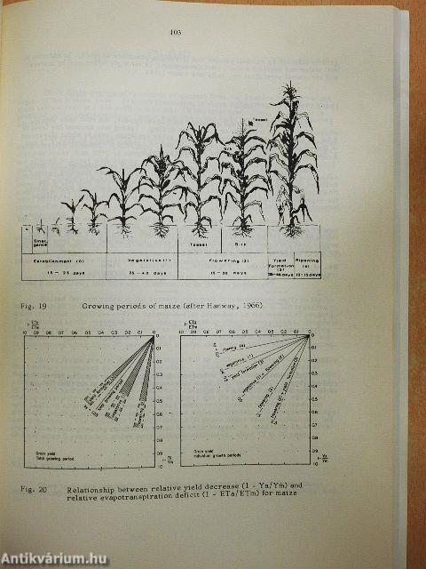 Yield response to water