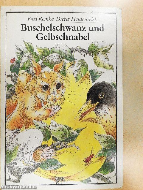 Buschelschwanz und Gelbschnabel