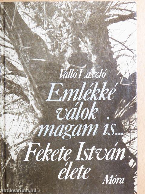 Emlékké válok magam is...