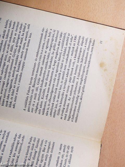 Emlékké válok magam is...