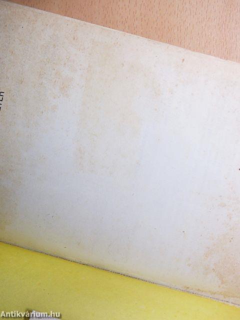 Így élt Washington