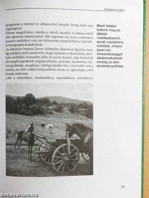 Természetes gyógymódok almaecettel