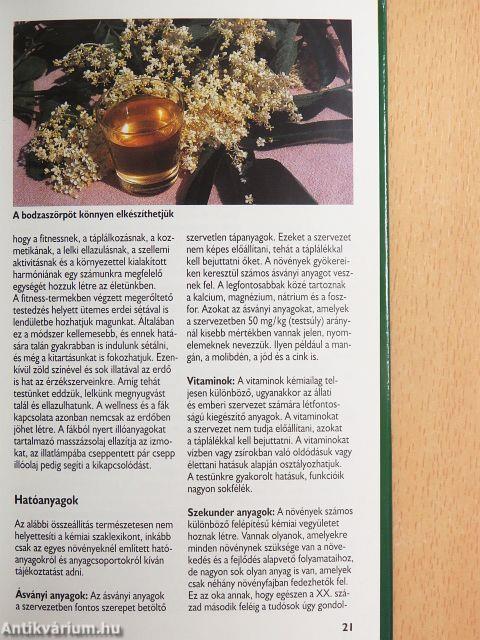 Fák, bokrok gyógyító ereje