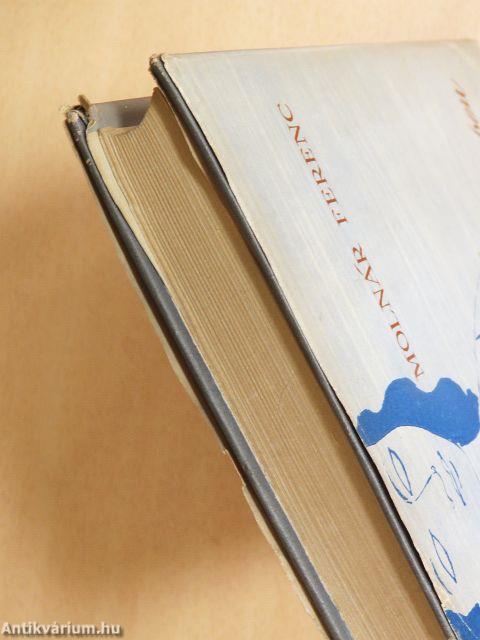 Útitárs a száműzetésben