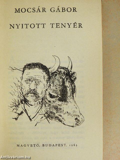 Nyitott tenyér