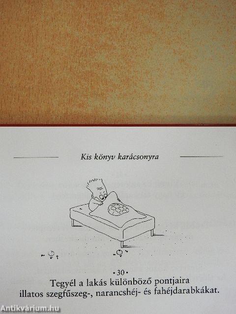 Kis könyv karácsonyra