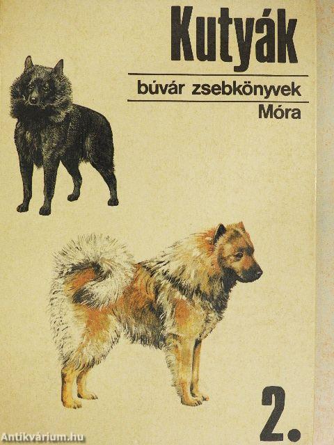 Kutyák 2.