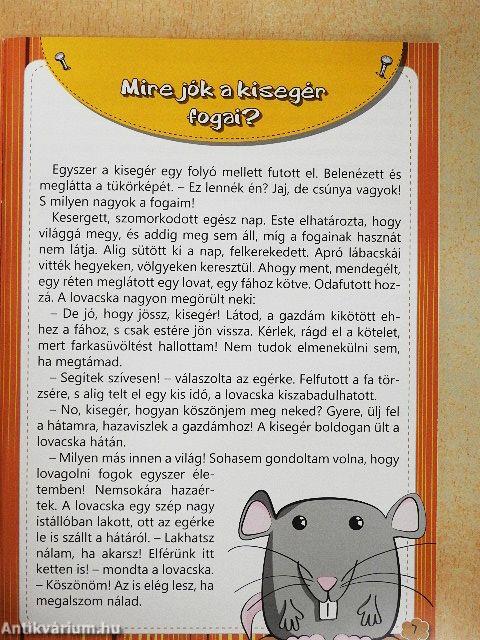 Miért füles a bagoly?