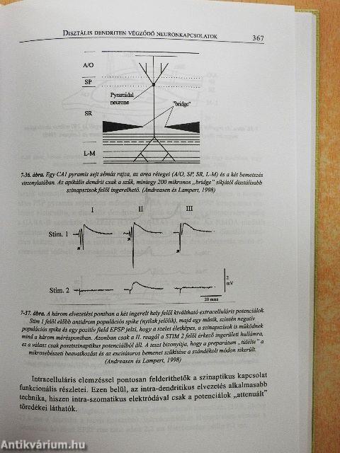 Celluláris neurobiológia