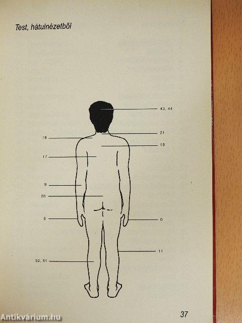 Kezünkben az egészség