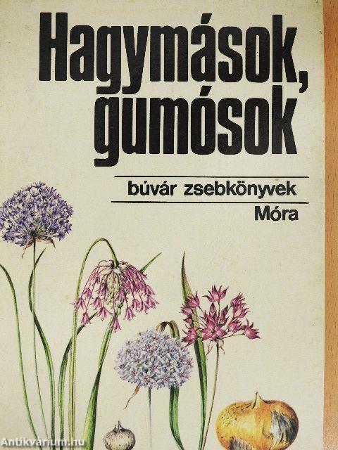 Hagymások, gumósok