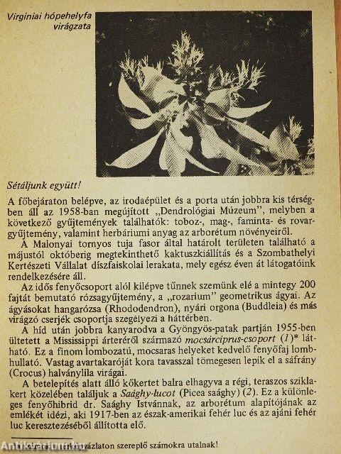 Szombathely - Kámoni arborétum