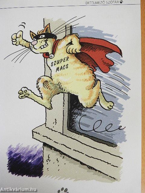 Macskabeszéd értelmező szótár