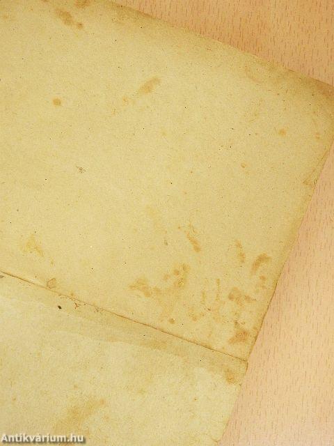 Kémek a Tisza mentén