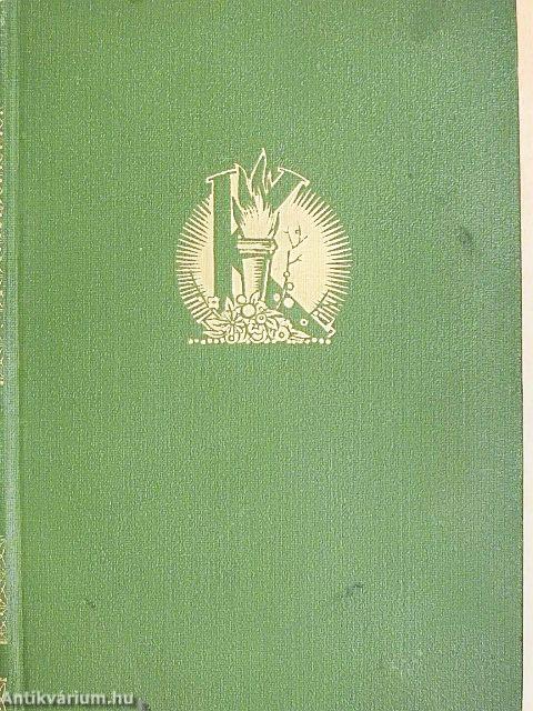 Az én életem regénye