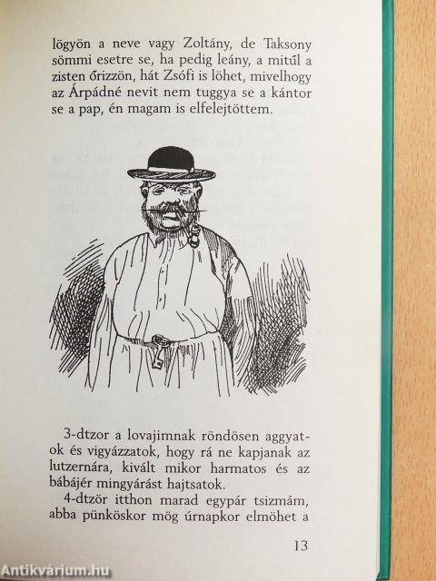 Tapasztalatok