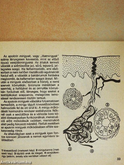 Bőrápolás/Szépségápolás