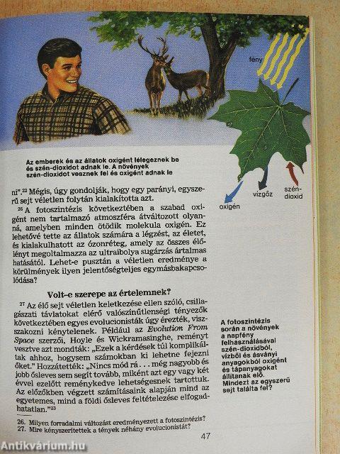 Az élet - hogyan jött létre?