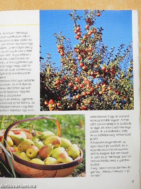 Gyümölcsfák metszése