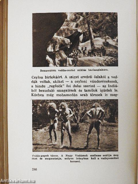 A szent gyülölet