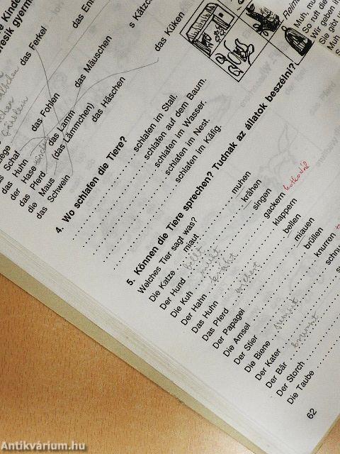 Schreiben, sprechen, lesen