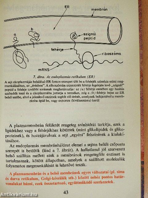 Állati vírusok