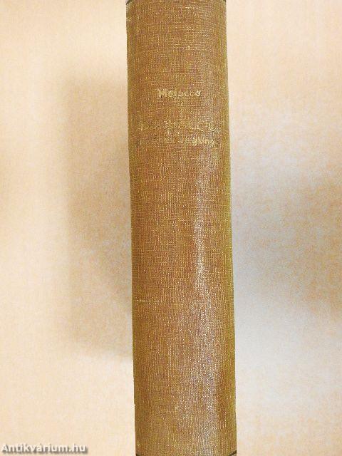 Boccaccio életének regénye