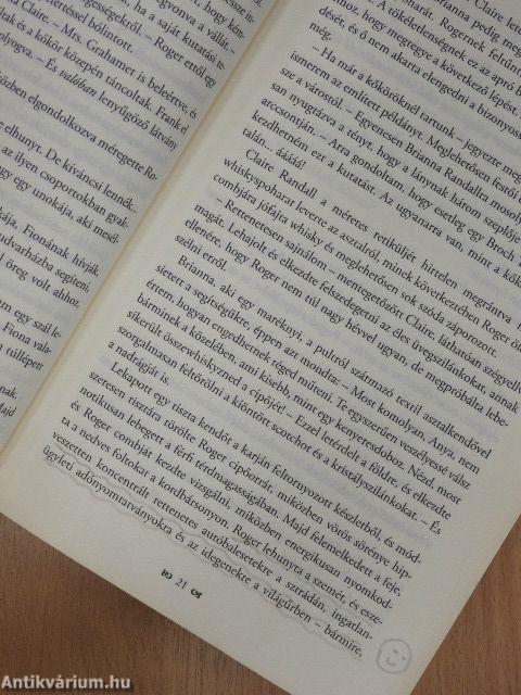 Szitakötő borostyánban