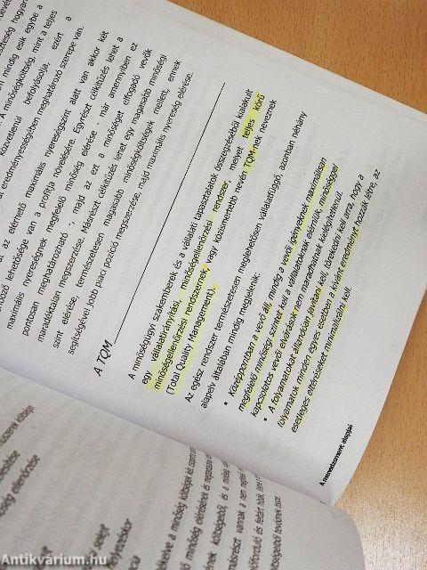 A menedzsment alapjai