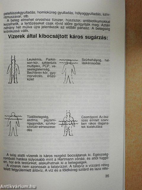 Gyógyító Táltosok nyomában