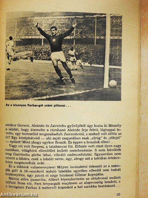 Labdarúgó VB 1966