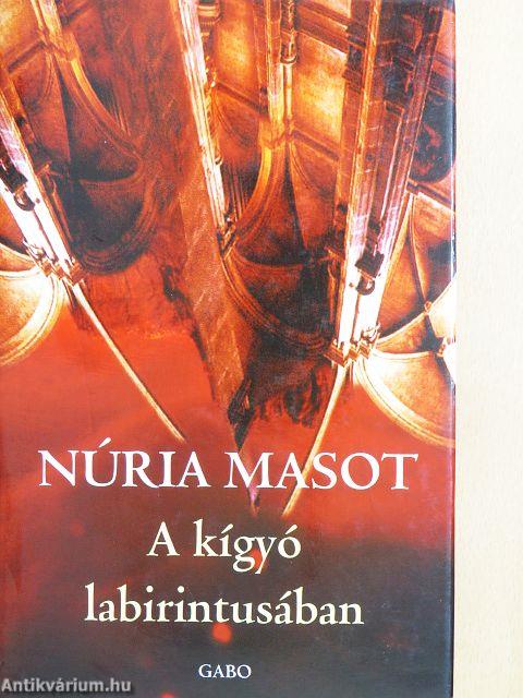 A kígyó labirintusában