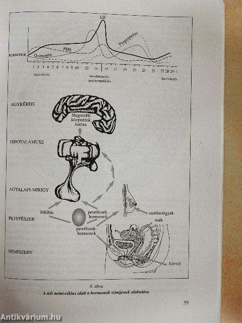 Felkészülés a családi életre
