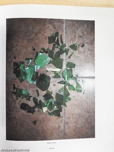 Magyar Műhely 2013/1.